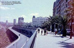 Mas- 087- Oran 